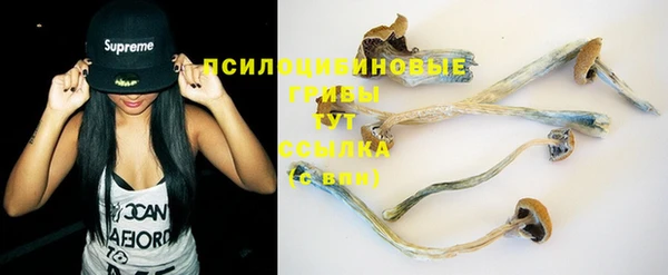 стафф Богородицк