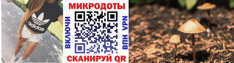 купить наркоту  Игра  ОМГ ОМГ tor  Галлюциногенные грибы Cubensis 